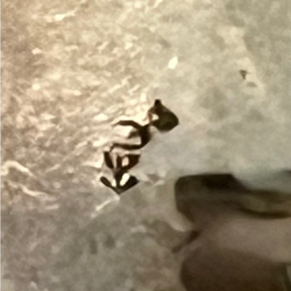 Signed - Sam Lovato, Old Pawn Sterling Silver Onyx clip back Earrings - Picture 7 of 11